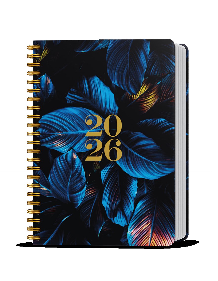 *B26  BDD9S-2-26  Denní diář - David - Twin - A5 - Modré listy , spirála