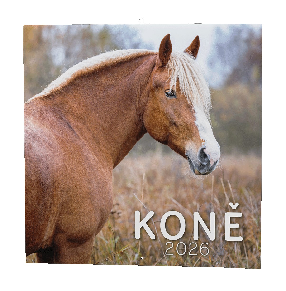 *B26  BNL3-26  Koně