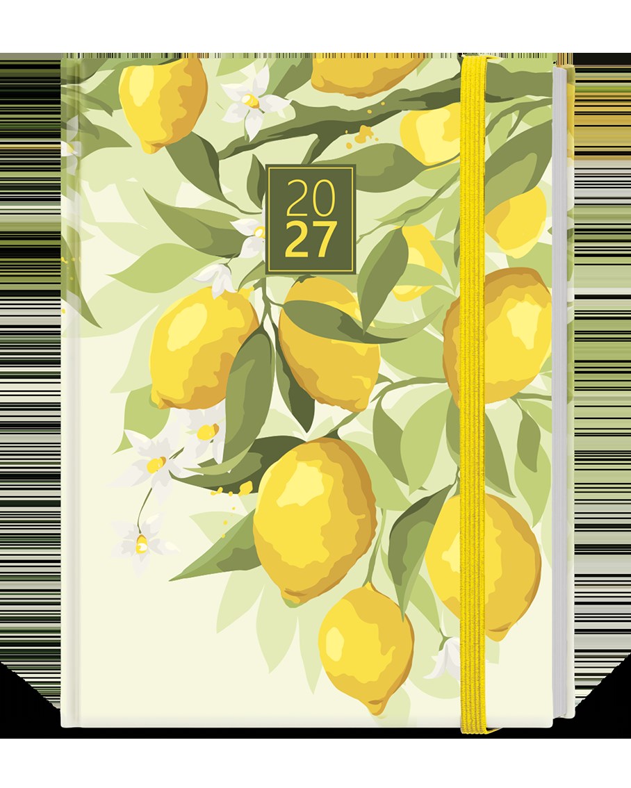 *B27  BDA9-5-27  Denní diář - Adam - Lamino - B6 - Citron