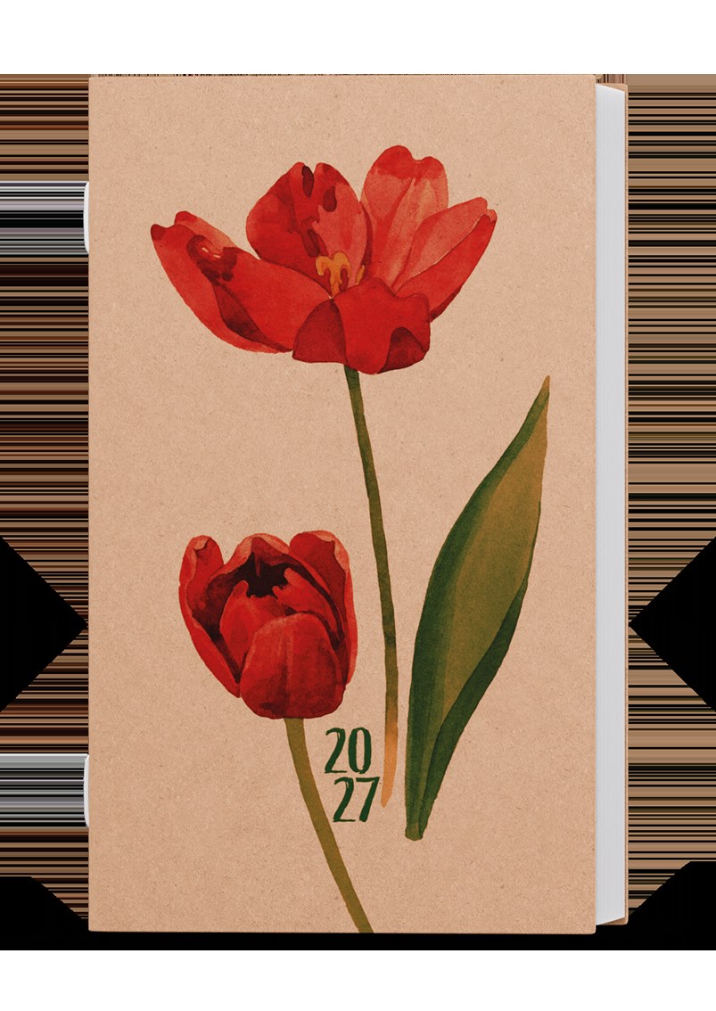 *B27  BTA2-1-27  Týdenní diář - Alois - kraft - Tulipán