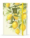*B27  BTP9-5-27  Týdenní diář - Prokop - Lamino - B6 - Citron