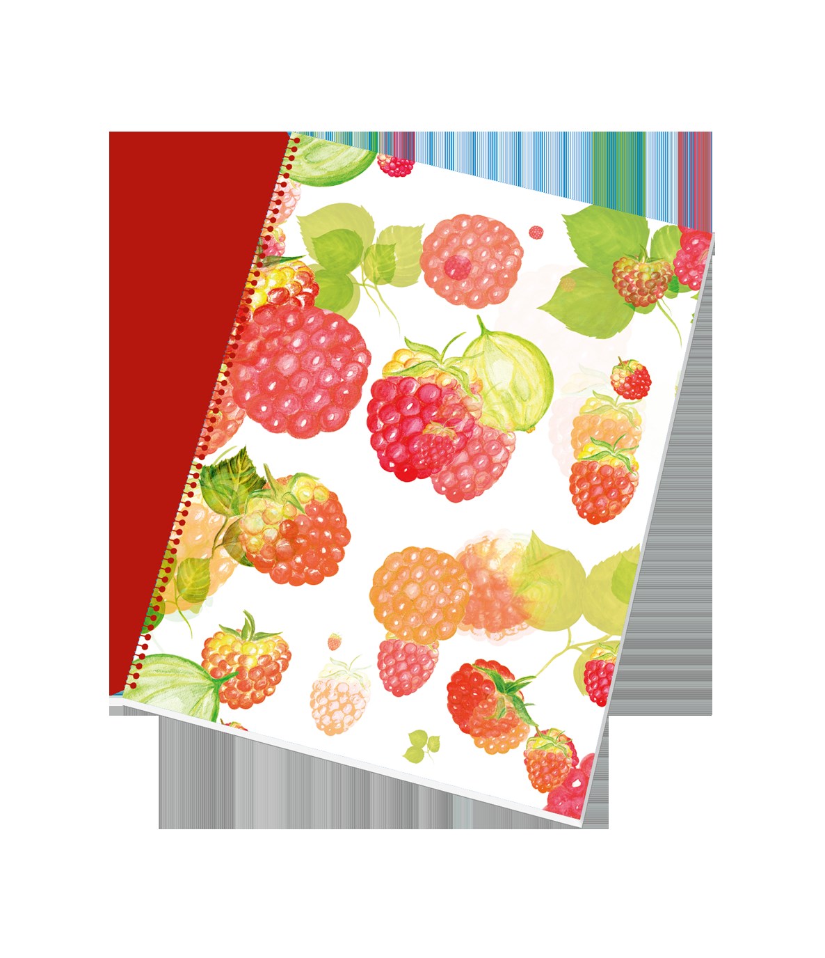 Blok KOLLEGIO boční spirála A5 linka