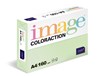 Coloraction A4 160g 27 Jungle - sv.zelená/250 382082