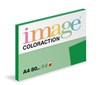 Coloraction A4  80g 63 Dublin - sytá zelená/100 393506