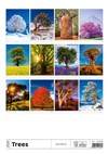nástěnný kalendář  Trees/Bäume/Stromy