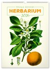 *P26  PGN-35185  NOTIQUE Nástěnný kalendář Vintage plakáty – herbář 2026, 33 x 46 cm