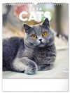*P26  PGN-35225-L  NOTIQUE Nástěnný kalendář Kočky 2026, 30 x 34 cm