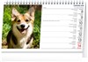 NOTIQUE Stolní kalendář Psi – Psy CZ/SK